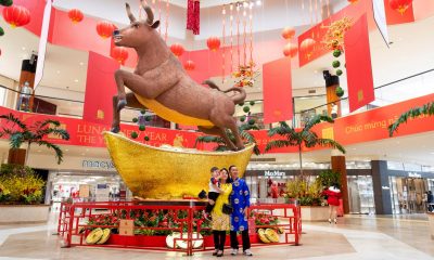 How Lunar New Year Is celebrated in age of COVID-19