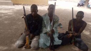 Adamawa Police Command Arrests Kidnappers, Robbers