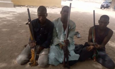 Adamawa Police Command Arrests Kidnappers, Robbers