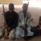 Adamawa Police Command Arrests Kidnappers, Robbers