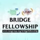 Why you need to be a part of the NESG Bridge Fellowship By Olutayo IRANTIOLA.