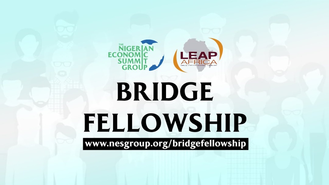 Why you need to be a part of the NESG Bridge Fellowship By Olutayo IRANTIOLA.