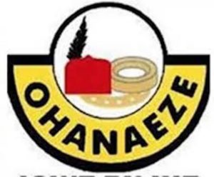 Ohanaeze Ndigbo Lagos Cruises Into Crisis As Prominent Igbo Son Warn President Over Partisan Politics,Factionalism