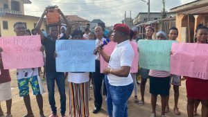 Activist calls on federal government to end ASUU strike