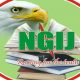 NGIJ Releases Preliminary Report on Osun, Residents Support Oyetola's Reelection