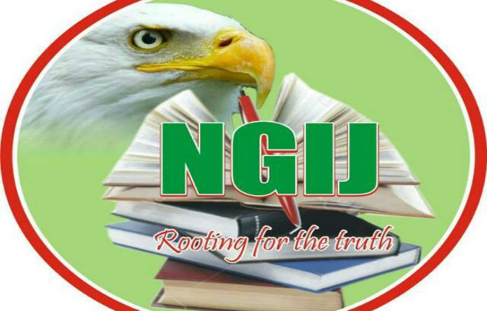 NGIJ Releases Preliminary Report on Osun, Residents Support Oyetola's Reelection