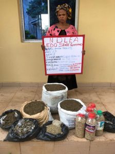 NDLEA Intercepts Orphan, Father Of One, Excretes Multiple Wraps Of Cocaine