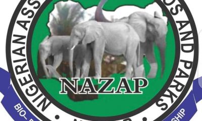 NAZAP Condemns Kidnap Of Ex-presidents Wife, Bola Abioye