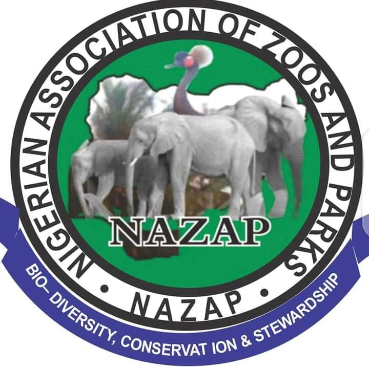 NAZAP Condemns Kidnap Of Ex-presidents Wife, Bola Abioye