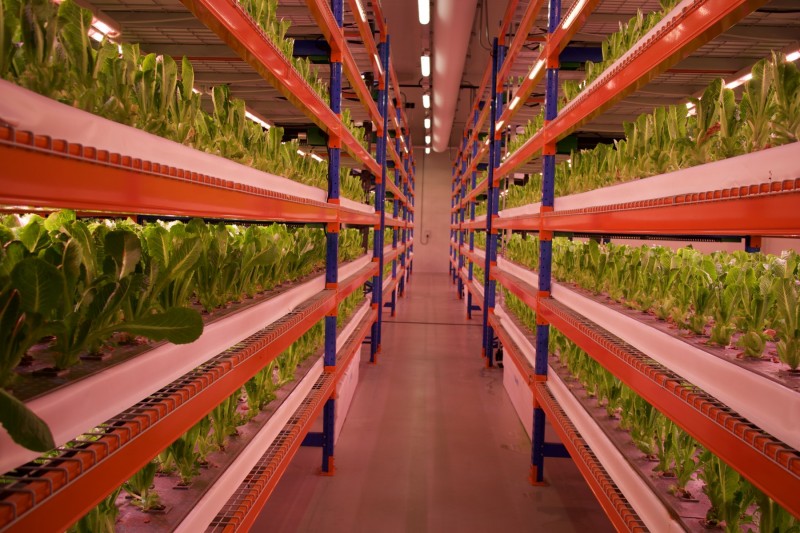 Emirates Flight Catering is opening the world’s largest farm in Dubai