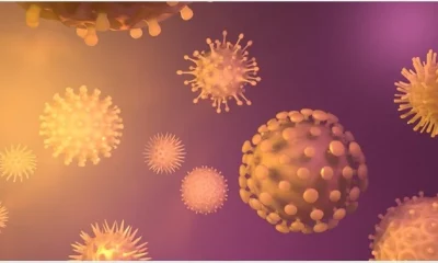 Virus detected in China