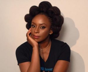 Dr Dele Afelumo's Blasts Chimamanda Adichie