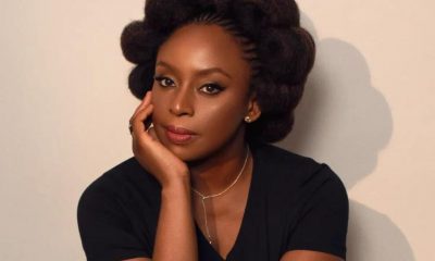 CHIMAMANDA'S EPISTLE OF GARBAGE by Femi Fani-Kayode