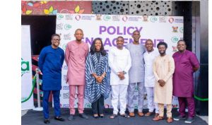 LASG begins Startup Act domestication