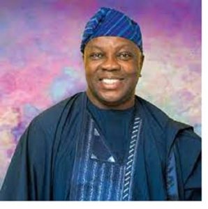 Breaking! Court sacks Biyi Otegbeye as Ogun ADC governorship candidate