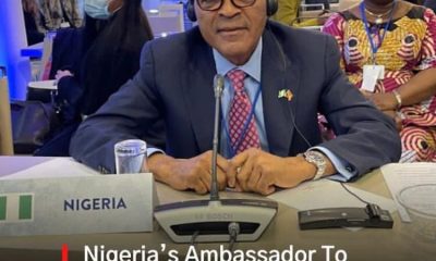 JUST IN: Nigerian Ambassador, Demola Seriki is dead