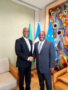 Herbert Wigwe Assumes Leadership of France Nigeria Business Council Following pioneer chairman, Abdul Samad Rabiu's Successful Two-Term Tenure