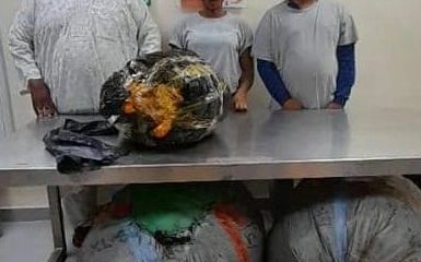 NDLEA arraigns church General Overseer, theology student and one other