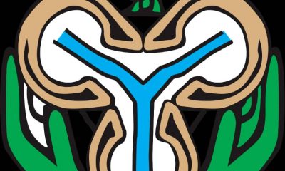 CBN Issues update on Naira scarcity