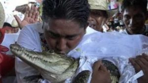 Man Marries Female Crocodile (video)