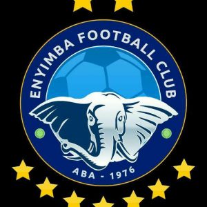 Kanu Nwankwo Appointed As Enyimba Chairman