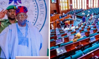 House Approves Tinubu’s Request For N500billion on Palliatives