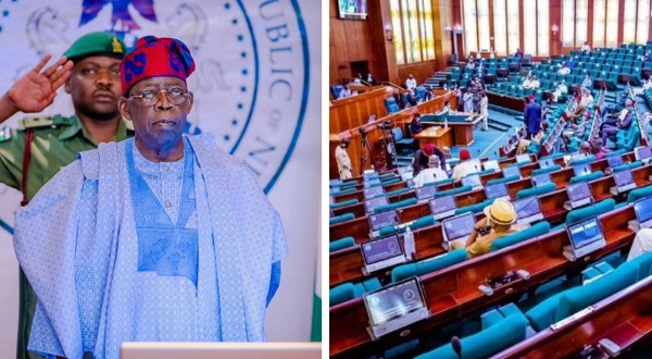 House Approves Tinubu’s Request For N500billion on Palliatives