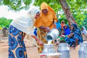 FrieslandCampina WAMCO: Langat Speaks On Revolutionizing Dairy Sector, Benefits