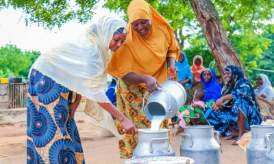 FrieslandCampina WAMCO: Langat Speaks On Revolutionizing Dairy Sector, Benefits