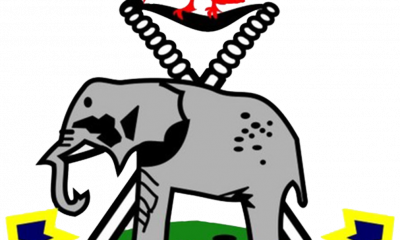 Ogun police arrest 116 suspected cultists