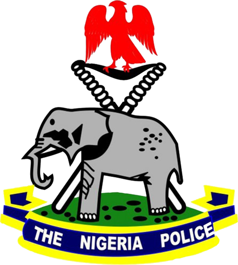 Ogun police arrest 116 suspected cultists