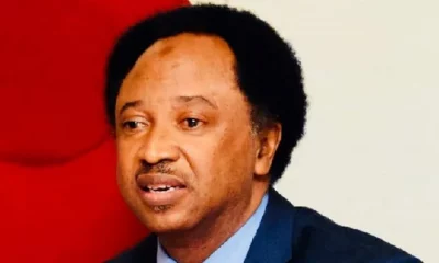 Ministerial list: Shehu Sani knocks Tinubu for assigning Defence Ministry to politicians