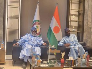Why Tinubu met Abdulsalami, Ribadu, others