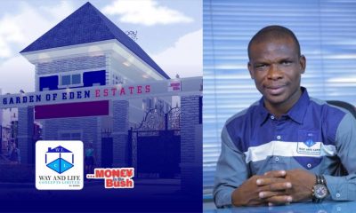 How Way and Life Concepts Limited is Setting the Standard in the Real Estate Industry