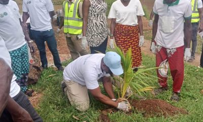 World Rivers Day: Benin Owena Management calls for protection of water bodies, plants trees at Ogba River Bank