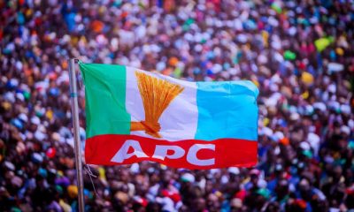The Silent Suffering & Struggles Of APC Foot Soldiers In Lagos (Opinion)