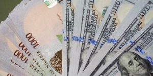 Naira Steadies in Parallel Market Amid CBN Governor's Planned Reform