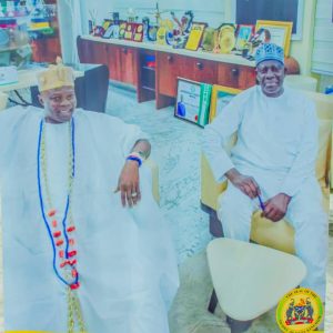 Don't Politicize The DSS , Olowu Warns Mischief Makers