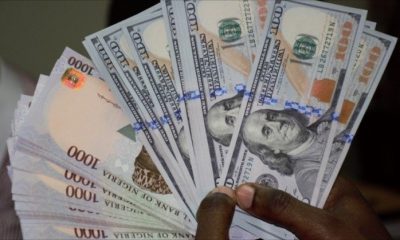 Expert Lauds CBN Handling Of Forex Challenges