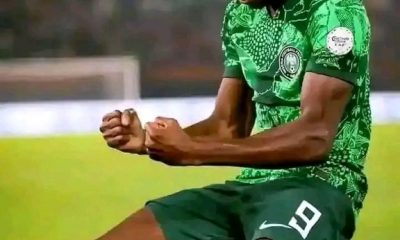 Osimhen loan move not entirely football related – Hamsik