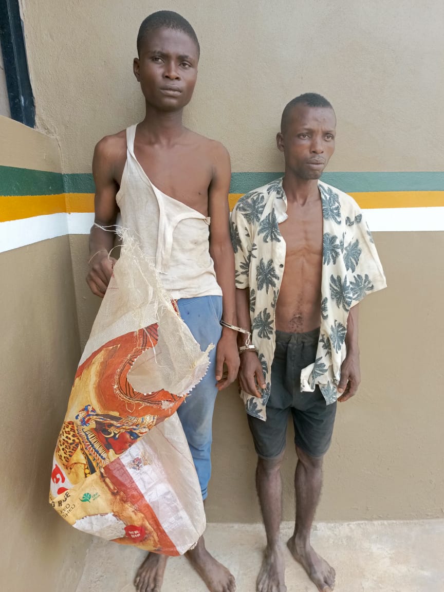 Vigilante group arrests 2 notorious thieves in Ogun state By Ifeoma Ikem