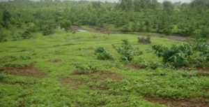 10 COSTLY MISTAKES TO AVOID WHEN BUYING A LAND IN NIGERIA BY Dennis Isong