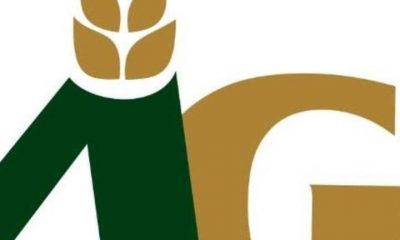 I never received any Loan from FCMB, Algrain Foods Managing Director Tells Court By Ifeoma Ikem