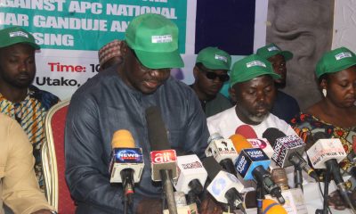 Kano Probe: Independent CSO report exonerates APC National Chairman, Ganduje of any wrongdoing