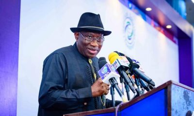 Democracy Built On Ethnicity Does Not Endure Says Jonathan