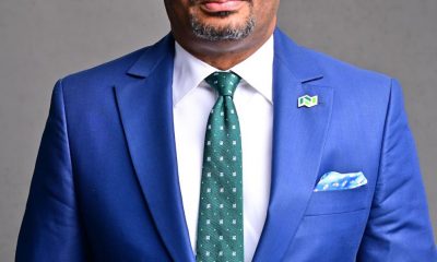 Chiemeka's appointment as NGX CEO will deepen market growth - Professional Group