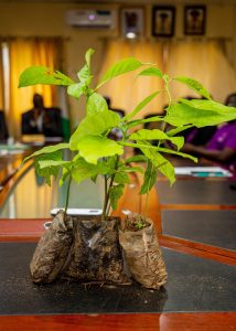 Polaris Bank Partners NCF on Land Restoration, Tree Planting