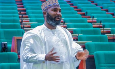 Supplementary Budget: Centre Lauds Reps Appropriations Chair Bichi Over Thorough Scrutiny, Public Engagement