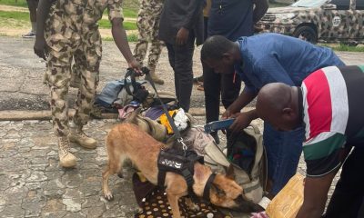 Coalition commends General Taoreed Lagbaja on Welfare Flight for Personnel