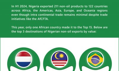 Diversification: Nigeria rakes in $2.7bn from non-oil exports in the first half of 2024
